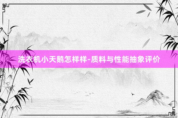 洗衣机小天鹅怎样样-质料与性能抽象评价