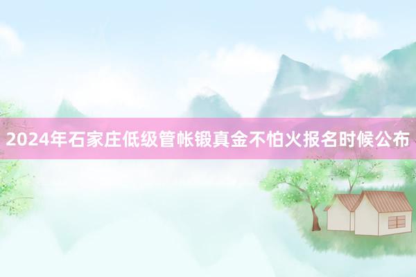 2024年石家庄低级管帐锻真金不怕火报名时候公布
