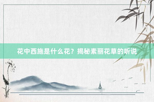 花中西施是什么花？揭秘素丽花草的听说